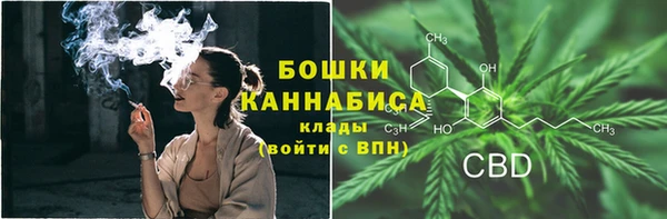 гашик Мегион
