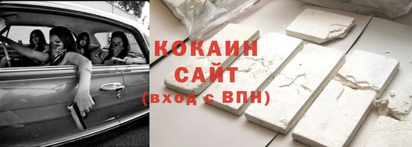 гашик Мегион