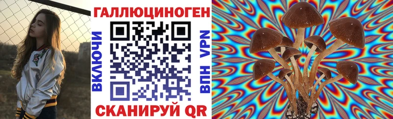 Галлюциногенные грибы Psilocybe  где можно купить наркотик  Липецк 